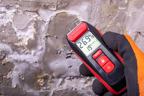 Crawl Space Mold Removal in Mount Vernon, MO